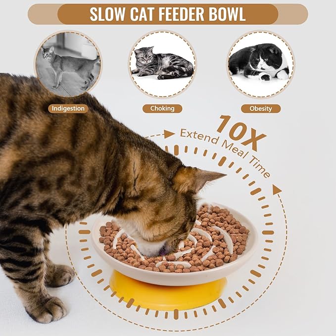 Shallow Elevated Cat Bowls with Bamboo Stand, 5.9 Inch Raised Slow Feeder Cat Bowl and Wide Ceramic Cats Bowls Whisker Friendly, 2 Pack Pet Dishes for Dry and Wet Food Dishwasher Safe