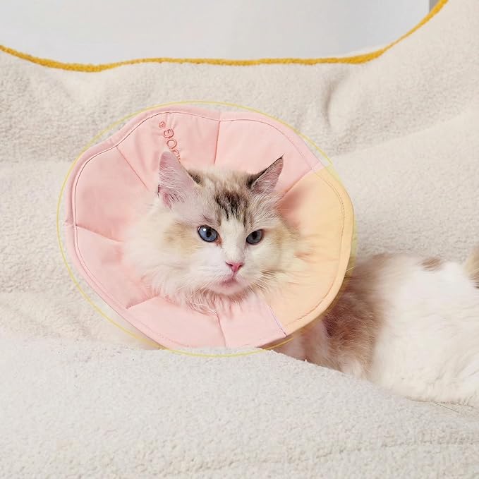 Touchdog Soft Cat Cone Collar, Waterproof Recovery Collar for Cats After Surgery, Lightweight Elizabethan Collar for Kittens, Small to Large