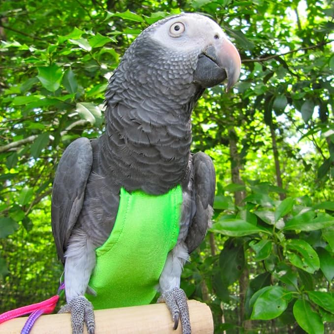 Avian Fashions FeatherWear FlightSuit X-Wide(9) Bird Diaper in Lime Green