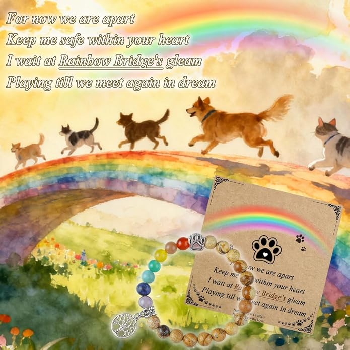 Pet Memorial Gifts, Sympathy Gift for Loss of Dogs and Cats, Chakra Rainbow Bridge Bracelet for Women Men Who Lost Pets