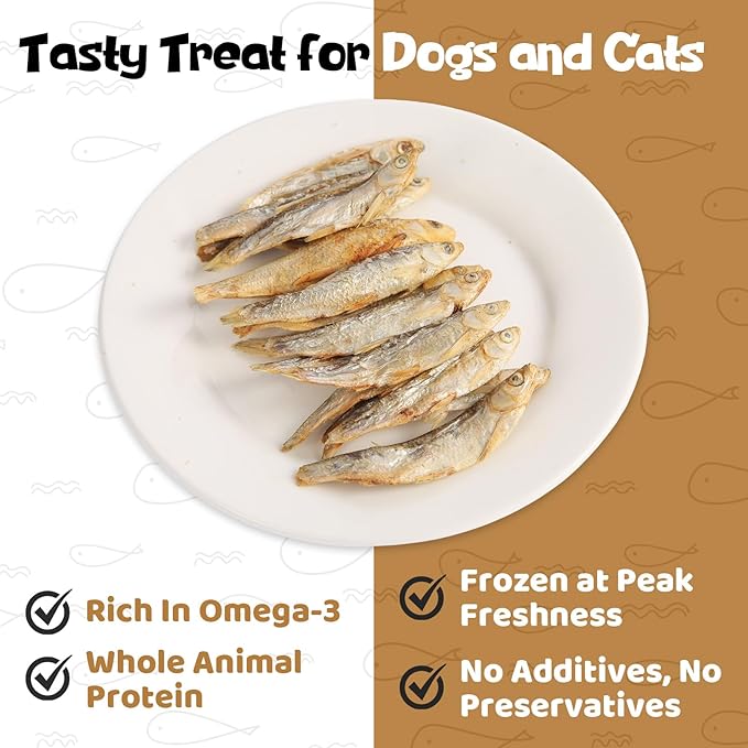 Minnows - Freeze Dried Minnows Dogs & Cats,100% Natural Single Ingredient Training Treats, Premium High Protein Snacks, Grain Free, 4 oz