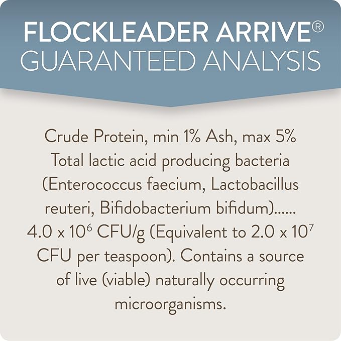 FlockLeader Arrive, Daily Probiotic & Prebiotic Water Supplement for Young Chickens 0-8 Weeks Old, 8 oz (Pack of 2)
