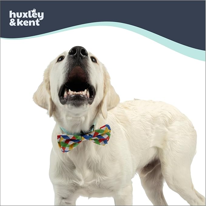 Huxley & Kent Pet Bow Tie for Dogs & Cats - Adjustable Hook & Loop Collar Accessory - Cute & Comfortable for Holidays & Celebrations - Summertime Check, Large