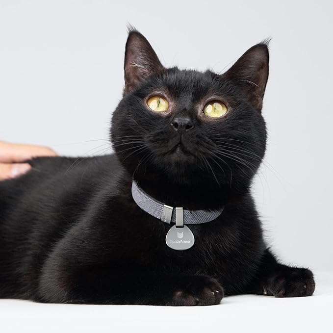 Engraved Pet ID Tag - Personalized Name Tag Engraved Cat Collar Charms, Aluminum Alloy Customized Cat Name Tag for Kitten Small Large Cats (Pocket-Midnight Black)