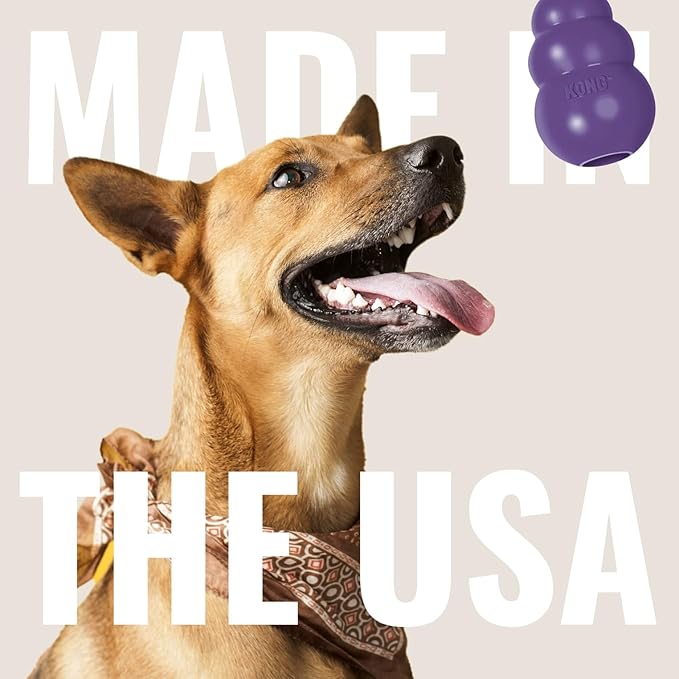 KONG Senior - Dog Toy with Gentle, Natural Rubber - Durable Dog Toy for Older Dogs - Use Treats with Stuffable Chew Toy - Treat Toy for Chewing & Fetching - for Small Dogs