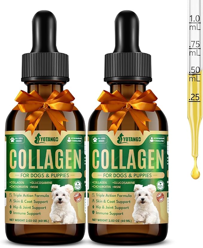 Liquid Collagen for Dogs, Natural Dog Collagen for Skin & Coat Support, Immune Support, Joint & Mobility Care with MSM, Middle-Aged and Older Dogs (Bacon Flavor - 60ml 2 Pack)