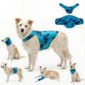 DAJIDALI® Dog & Cat Anxiety Vest & Spay Recovery Suit – Silent Calming Wrap for Surgery, Thunderstorms – Breathable Cone Alternative