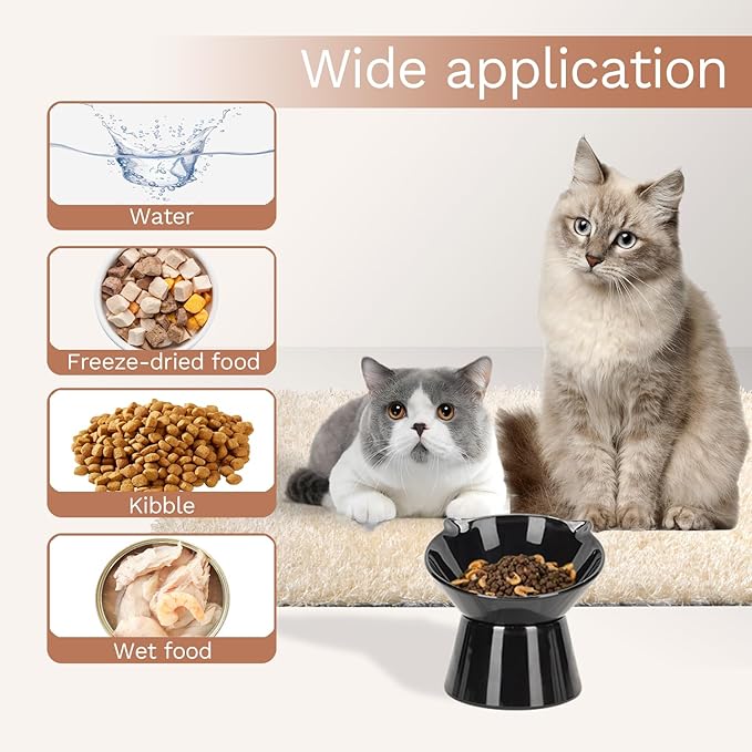 Detachable Slow Feeder Cat Bowl- Elevated Cats Feeder Tilted, 7 Inch Large Extra Wide Raised Cat Food Bowl Whisker Friendly, for Indoor Cats and Small Dogs Anti-Vomiting Black