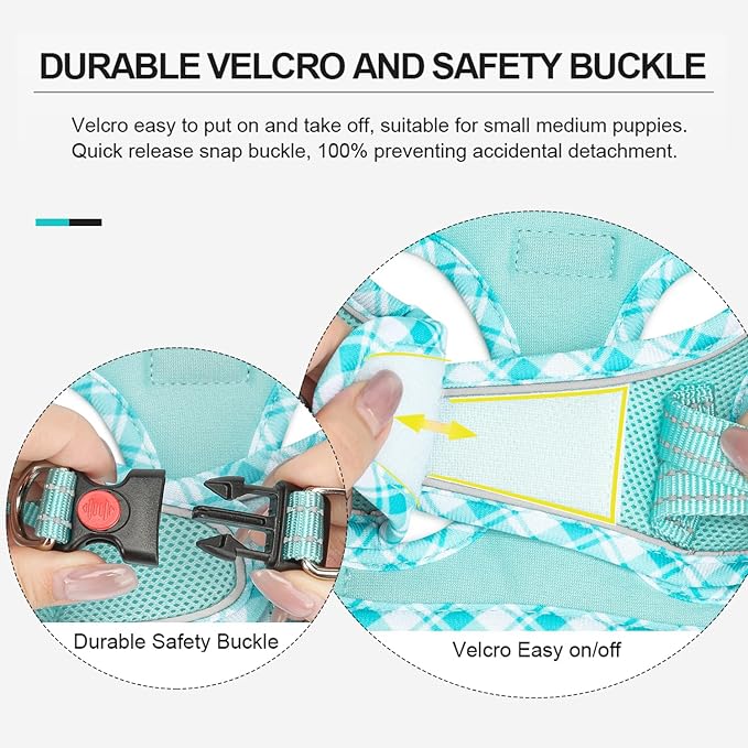 Mercano Soft Mesh Dog Harness and Leash Set, No-Chock Step-in Reflective Breathable Lightweight Easy Walk Vest Harnesses with Safety Buckle for Small Dogs, Cats (Light Blue, XXS)