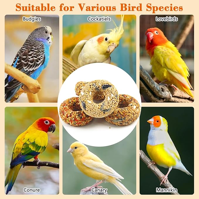 Fhiny 4 PCS Parakeet Treats, Donut Shaped Natural Grain Cockatiel Food with Fruits Vegetables Flowers and Herbs Bird Chew Toys for Parrot Conure Lovebird Training Rewards and Beak Grinding