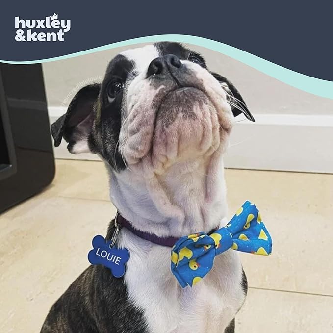 Huxley & Kent Pet Bow Tie for Dogs & Cats - Adjustable Hook & Loop Collar Accessory - Cute & Comfortable for Holidays & Celebrations - Lucky Ducky, Large