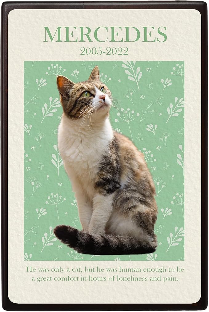 Custom Pet Keepsake Urns for Cats, Wooden Box for Pet Ashes with Photo for Your Beloved Pets, Pet Cremation Urns as Sympathy Gifts for Pet Lovers - Small, 6" x 4" x 2.75" Pet Urn (Marcedes)