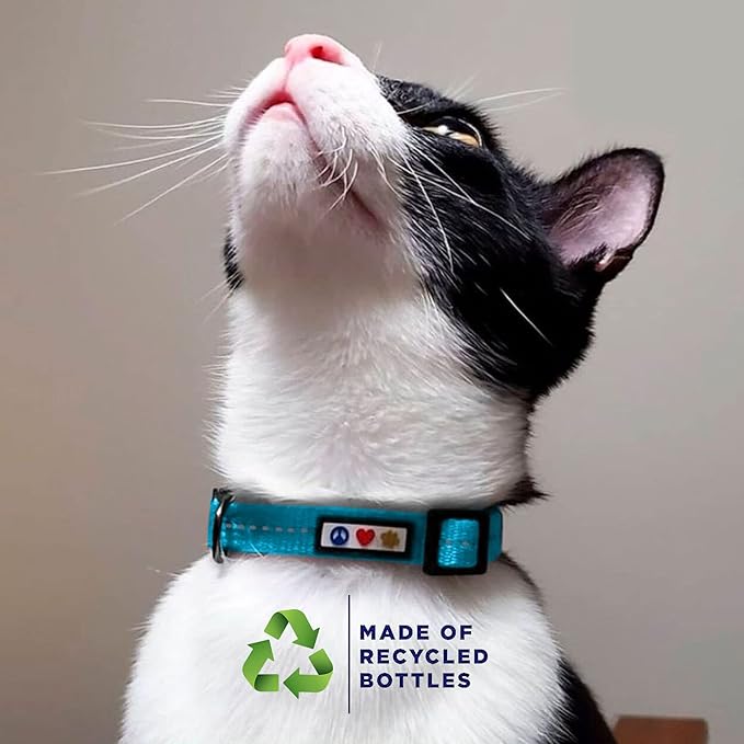 Pawtitas Recycled Orange Reflective Cat Collar – Eco-Friendly Breakaway Safety Buckle, Adjustable Kitten & Adult Collar with Removable Bell and High-Visibility Strap
