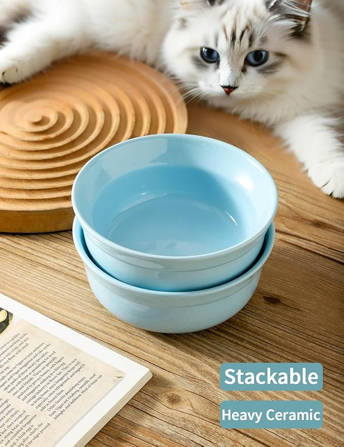 5.3 Inch Blue Ceramic Small Dog Bowl Sets - Porcelain Wide Mouth Cat Food or Water Bowls, Cute Feeding Bowls for Indoor Small Size Dog, for Wet or Dry Food