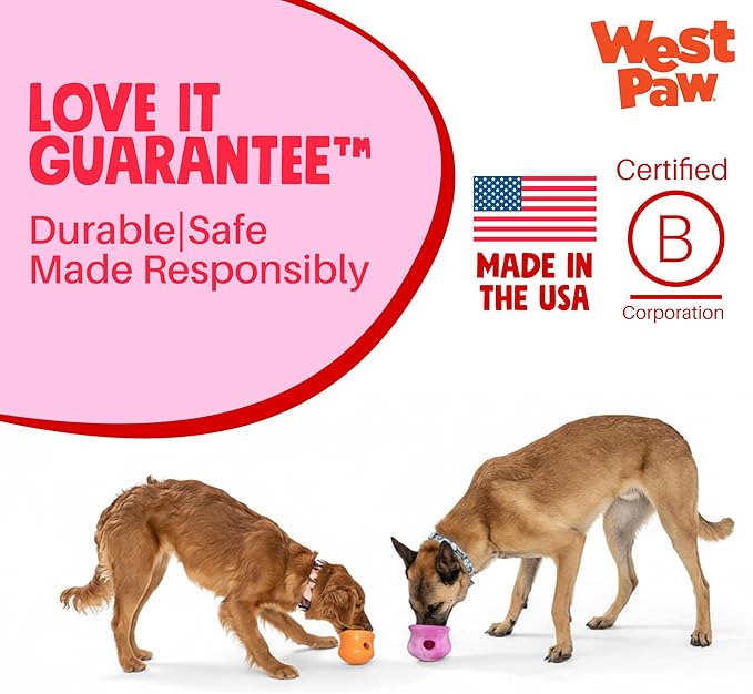 WEST PAW Toppl Stopper Durable Freezer Insert Accessory for Dog Treat Toy- Secure Leak Proof Design for Mess Free Prep of Frozen Fillings and Easy Clean Up - Ruby/Bubblegum