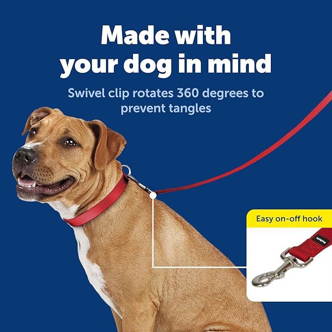 PetSafe Nylon Leash - Everyday Use Dog Leash - Lightweight Nylon - Quick Attach - Durable Pet Lead - 3/4" Wide - 6 Foot - Red