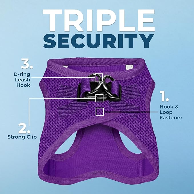 Best Pet Supplies Voyager Step-in Air Harness - All Weather Mesh, Reflective, No Pull Harness for Dogs, Cats - Secure with Hook & Loop Fastener, Buckle, Double D-Rings - Purple, XS