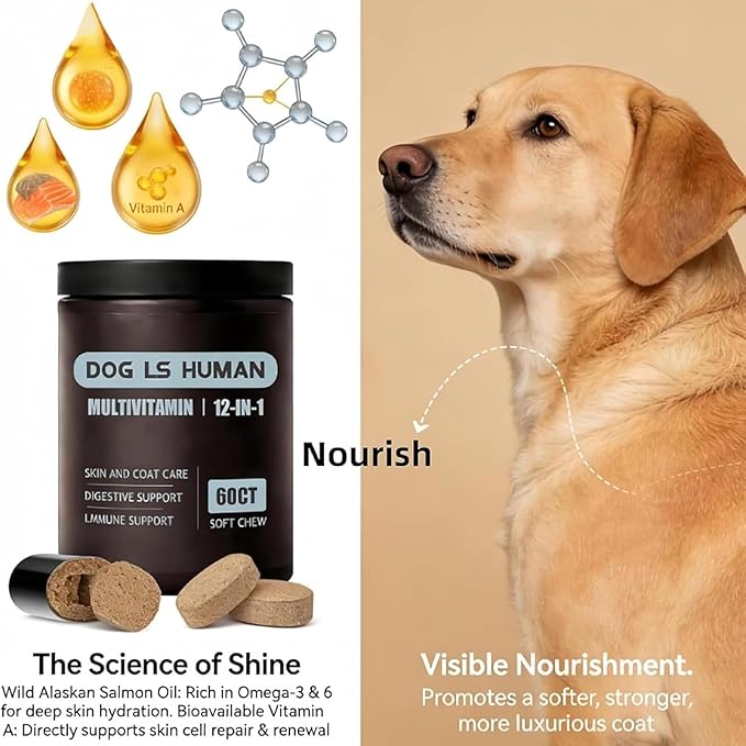 Dog Is Human Multivitamin for Dogs,Pet Vitamins Supplements for Skin and Hair,60 Chews (1PCS)