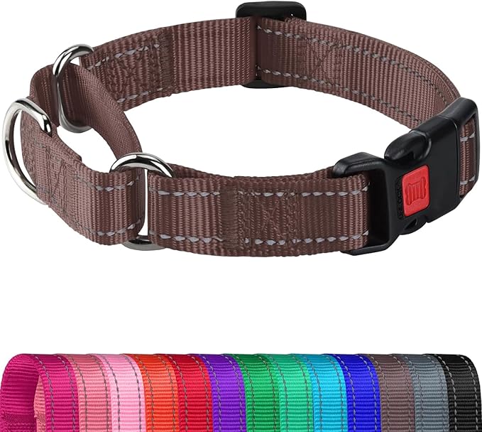 Joytale Martingale Collar for Dogs, Reflective Heavy Duty for Safety, Quick Release Buckle, Adjustable Nylon Collars for Medium Dogs Walking Training, Brown,M