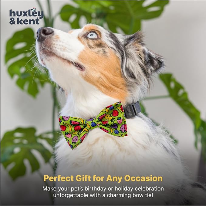 Huxley & Kent Pet Bow Tie for Dogs & Cats - Adjustable Hook & Loop Collar Accessory - Cute & Comfortable for Holidays & Celebrations - Tutti Fruity, Small