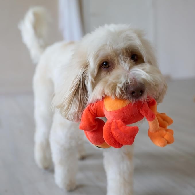 SPOT Chirpies Plush Dog Toy – Bird Sound Squeaky Toy for Small and Medium Dogs, Light to Moderate Chewers, Stretchy Bungee Neck, Recycled Stuffing – 14 in, Assorted Styles