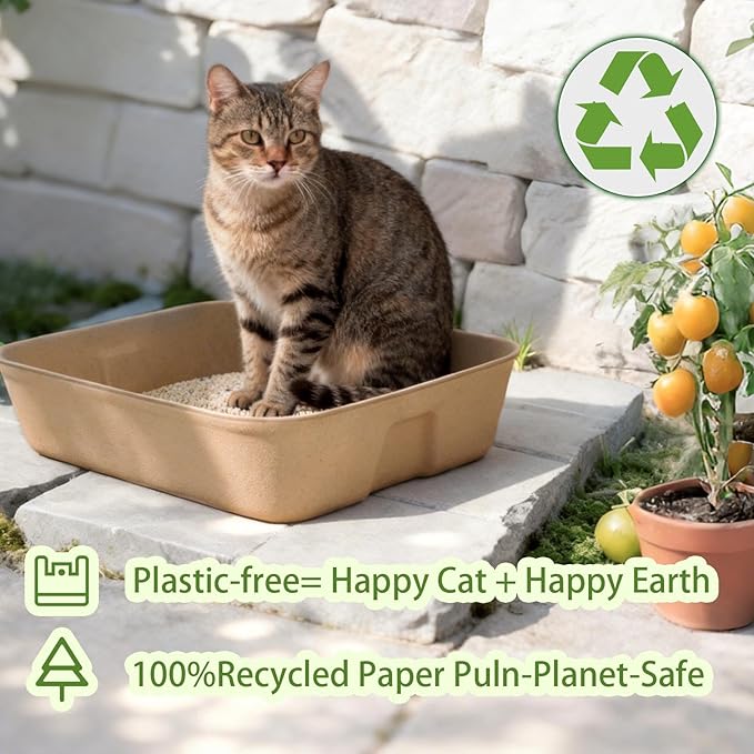 Disposable Litter Boxes for Cats Large: 6-Pack Leak-Proof Sustainable for Indoor/Travel Use Standalone or as Liner (6 Packs)