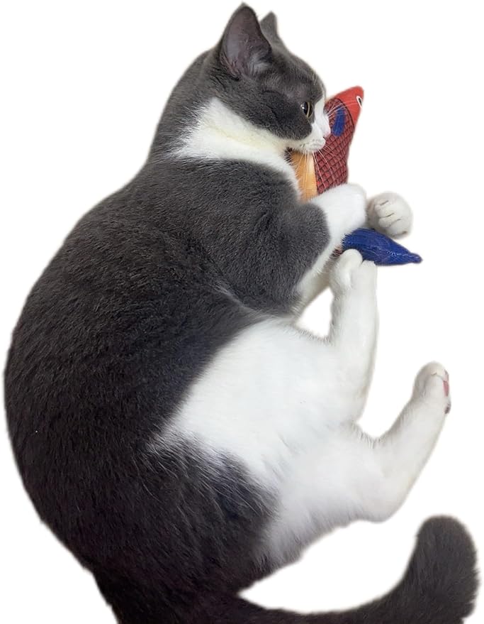 Cat Toys Saury Fish, 3 Pack, Catnip Crinkle Sound, Soft and Durable, Interactive Kitten Kicker for Indoor Kitty Exercise 9.4 Inches for All Breeds