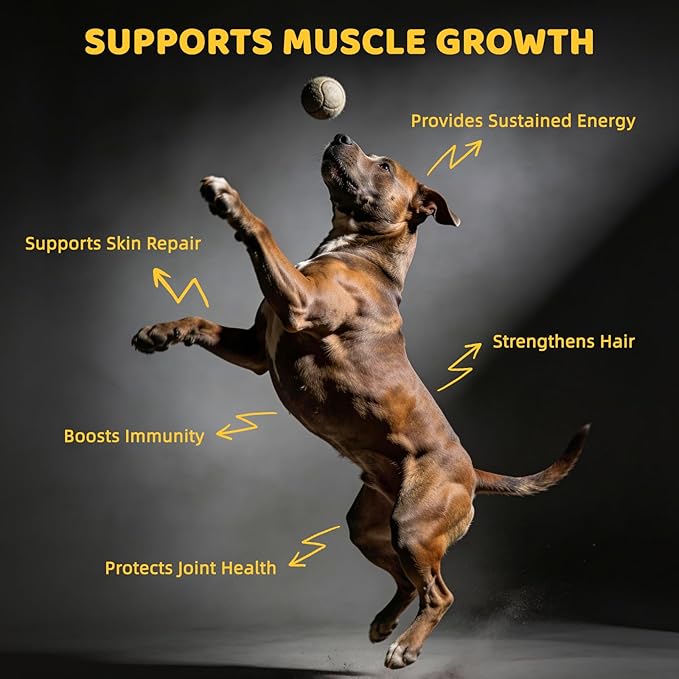 Muscle Gain Chewable Tablets for Dogs: with BCAAs L-Arginine Glucosamine Spirulina and Salmon Oil - Supplement for Muscle Growth Strength and Joint Health - for All Dog Breeds & Ages