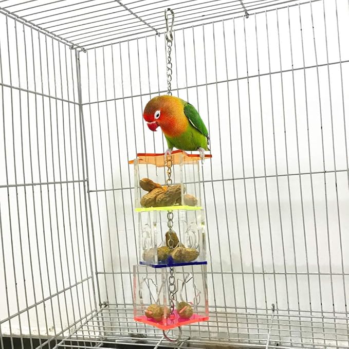 Bird Foraging Toys,Creative Parrot Feeder Box,Hanging Treat Foraging Toy for Anchovies,Parakeets,Cockatiel,Conure,Mynah,Macow