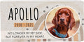 Personalized Pet Memorial with Keepsake Photo on Limestone - Headstones, Garden Stones, and Grave Markers for Dogs - Dog Memorial Stone, Pet Memorial Gifts - 12”x 6”x1.25" D (B. Apollo Design)
