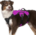 rabbitgoo Escape Proof Dog Harness, Soft Padded Full Body Pet Harness, Reflective Adjustable No Pull Vest with Lift Handle and Leash Clip for Large Dogs Walking Hiking Training, M, Purple