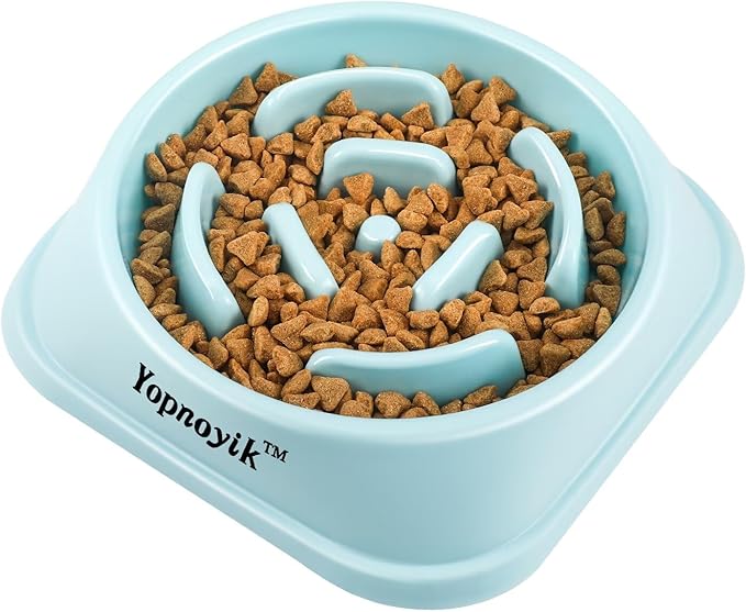 Slow Feeder Dog Bowls for Healthy Eating, Non-Slip and Anti-Choking Design, Reduces Bloating & Overeating for Medium Dogs and Cats, Easy to Clean
