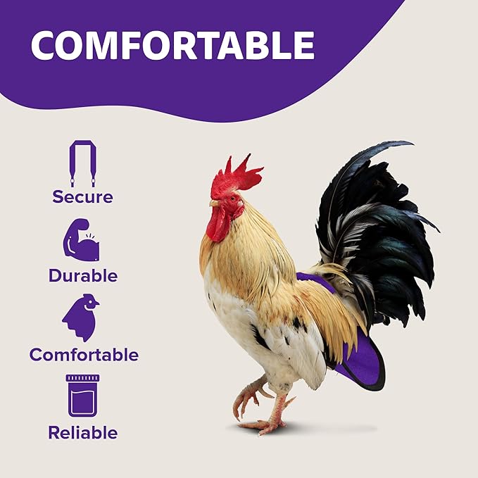 Hen Holster Premium Starter Kit - Bird Diaper, Wrap Around for Hens, Roosters, Ducks - Leak-Proof, Comfortable Bird Harness with Sewn-in Liner, Secure Hook & Loop Closure - S/M Purple