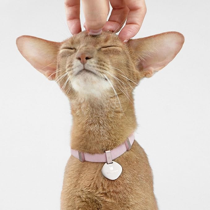 Engraved Pet ID Tag - Personalized Name Tag Engraved Cat Collar Charms, Custom Aluminum Alloy Customized Cat Name Tag for Kitten Small Large Cats (Star-Blush Pink)