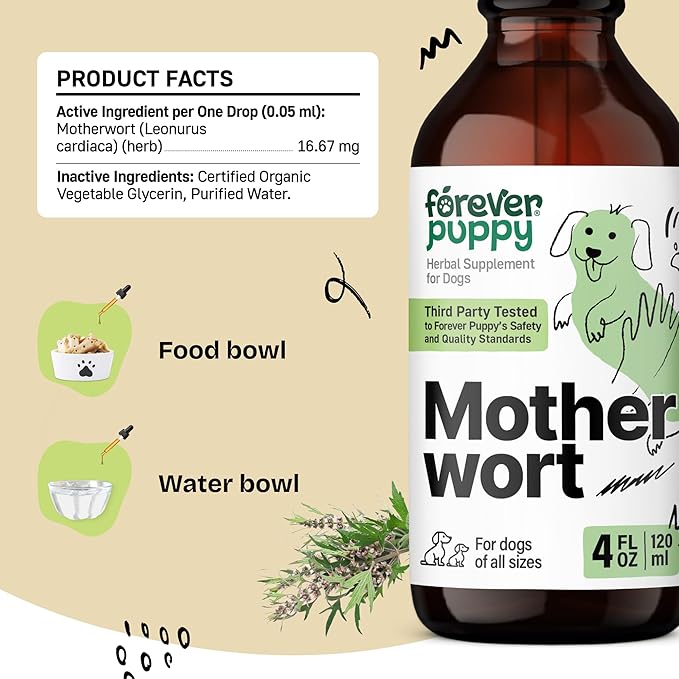 Forever Puppy Motherwort Tincture for Dogs - Herbal Dog Heart Supplement - Motherwort Herb Liquid Extract - Canine Vitamins for Overall Well-Being - Sugar & Alcohol-Free Drops - 4 fl oz