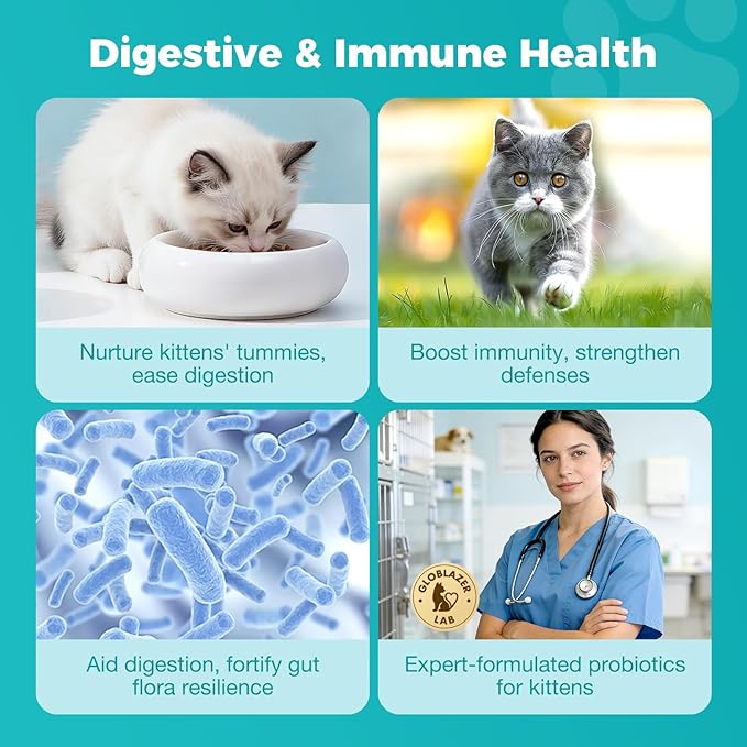 Cat Probiotics Gut – Constipation Relief – Supports Immunity, Regularity, & Healthy Digestion, 30-Day Supply (Kitten Formula)