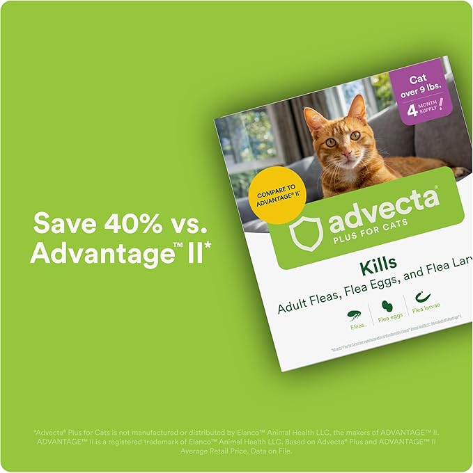 Advecta Plus Topical Large Cat Flea Treatment for Cats and Kittens, Flea Prevention and Control, Fast-Acting Waterproof Drops, 4-Month Supply