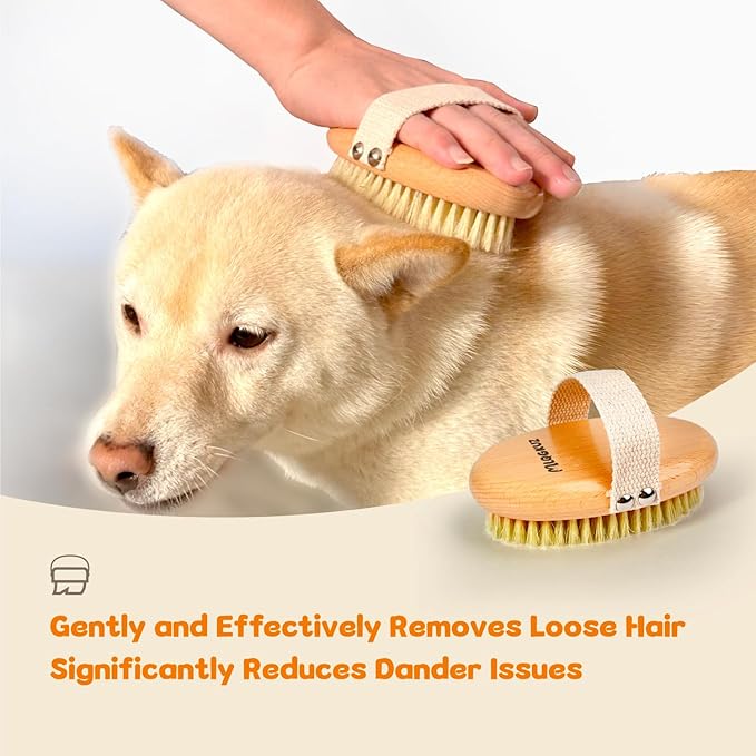 Professional Dog Brush Boar Bristle for Short-Haired Dogs - Reduces Shedding, Non-Slip Grip, Gentle Grooming