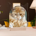 EGD Customized Gifts for Cat Memorial Gifts | Personalized Picture Frame for Cat Lover Gift with Name & Picture | Pet Loss Sympathy Gift with Custom Photo Gifts | Pet Portrait Display (A. Cat)