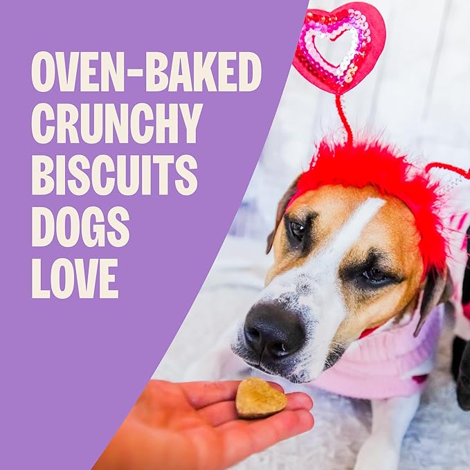 Old Mother Hubbard Wellness Bits of Love P-Nuttier Dog Biscuits, Natural, Seasonal, Valentine's Day Treats, Peanut Butter Flavor, (6 Ounce Bag)