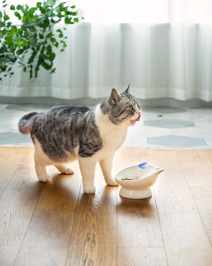 Raised Cat Food Bowl Ceramic 15° Tilted Cat Food Bowls Protect Cat's Spine Anti Vomiting Backflow Prevention Bowls for Adult Cats, Kitten, and Small Dogs, Blue