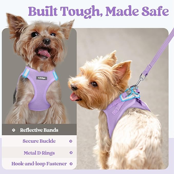 rabbitgoo Dog Harness Small Sized and Leash Set, Step in Soft Light Puppy Vest, Breathable Mesh Pet Harness, Reflective for Safe Easy Walking, Light Purple XXS