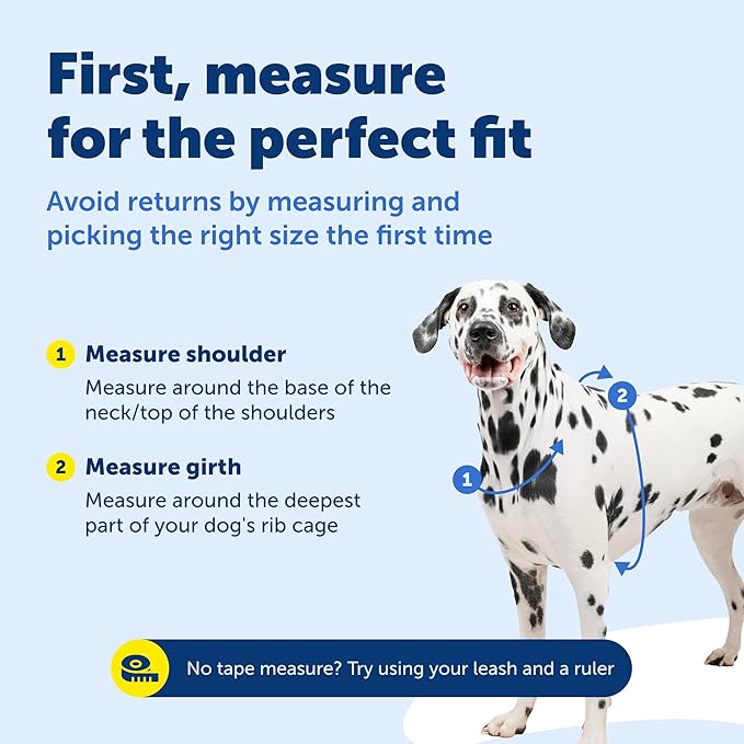 PetSafe 3-in-1 Harness - Comfortable Easy-Walk Dog Chest Harness with Front Leash Attachment to Reduce Pulling, Choking & Gagging - Dog Obedience Gear - Medium - Teal