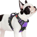 rabbitgoo Dog Harness Small Sized, No Pull Pet Harness with 3 Buckles, Adjustable Soft Padded Vest with Control Handle, Walking Reflective Pet Vest for Small Dogs, Purple, S