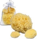Sea Sponges for Dogs - Luxury Canine Bath Care, for Pet Grooming, Soft & Gentle Pampering