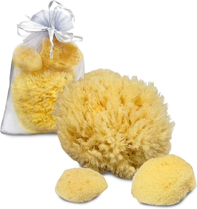 Sea Sponges for Dogs - Luxury Canine Bath Care, for Pet Grooming, Soft & Gentle Pampering