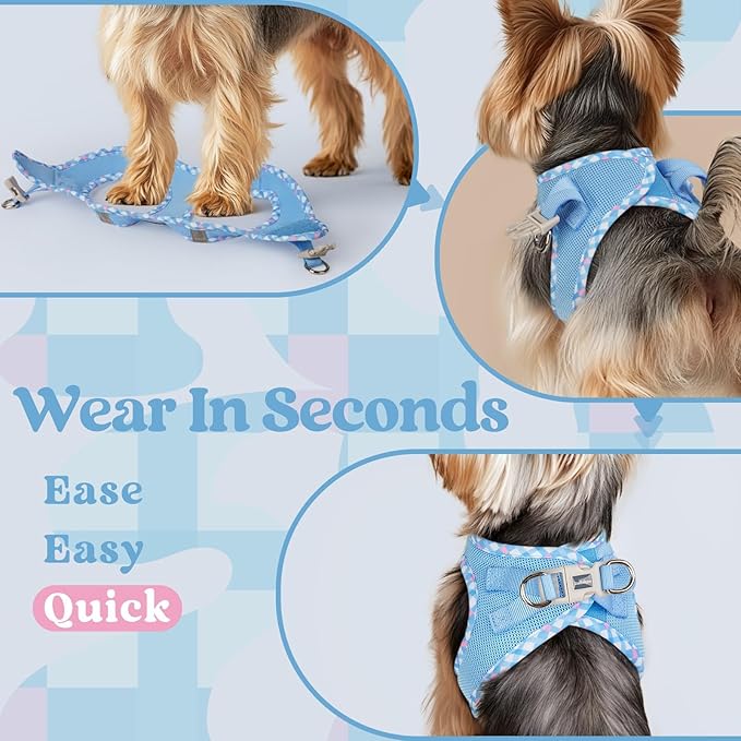 rabbitgoo Small Dog Harness, Step-in Soft Mesh Puppy Vest with Safety Buckle, Breathable Reflective Pet Harness for Extra Small Dogs, Blue & Plaid Trim XXS