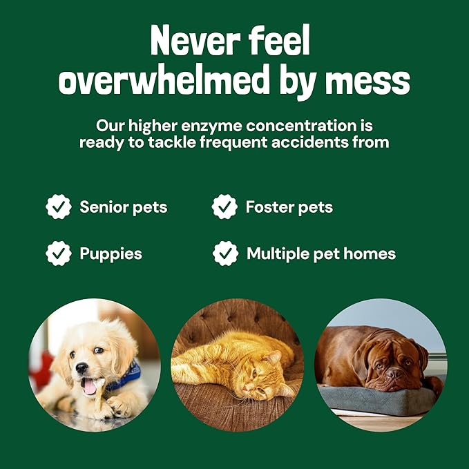 Sunny & Honey Turbo Carpet Cleaner Spray - Carpet Stain Remover with 40% More Enzymes - Pet Urine Enzyme Cleaner & Floor Deodorizer - Pet & Kid Safe Rug Cleaner (32 fl oz, Spring Mint)