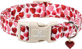 Maca Bates Valentine's Day Dog Collar with Red Love Heart Charm for Extra Large Girl Boy Dogs, Ombre Effect Heart Pattern,Adjustable Durable Soft Collars Valentine Gift for Male Female Puppy