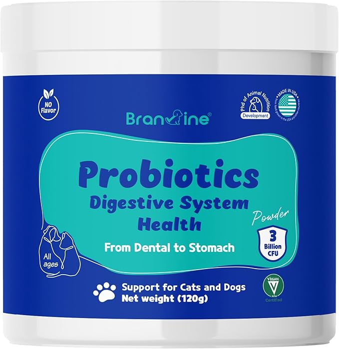 Dental-Stomach Probiotics - Patented 2-Strain Probiotics That Help Oral Health, Vitamin U, Mastic Gum, DGL, Propolis, Digestive Enzymes (120g)